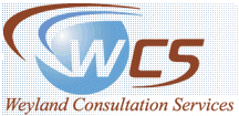 Visit Weyland Consultation Services